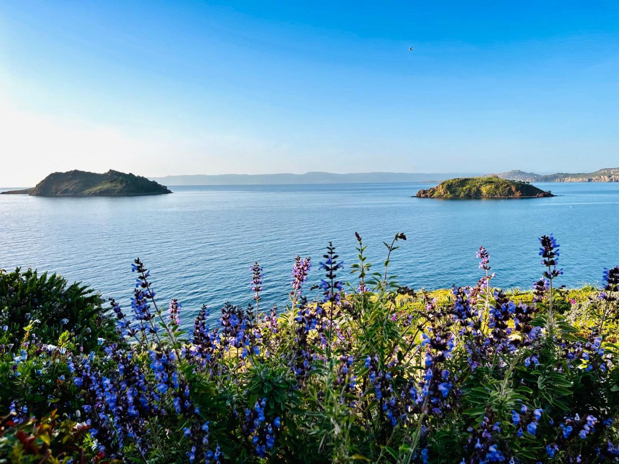 Eleia Seafront & Villa Petra (Lesbos)